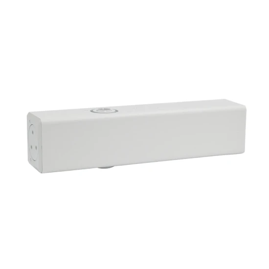 Samozamykacz DC300 bez ramienia siła EN 3-6 Assa Abloy kolor biały